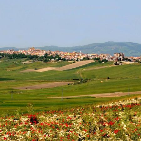 Alloggio Cattedrale Troia エクステリア 写真